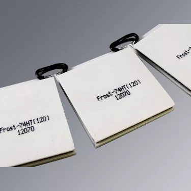 Fuaraitheoirí TE Rothaíochta Roghnacha mar Riachtanach an Chustaiméara